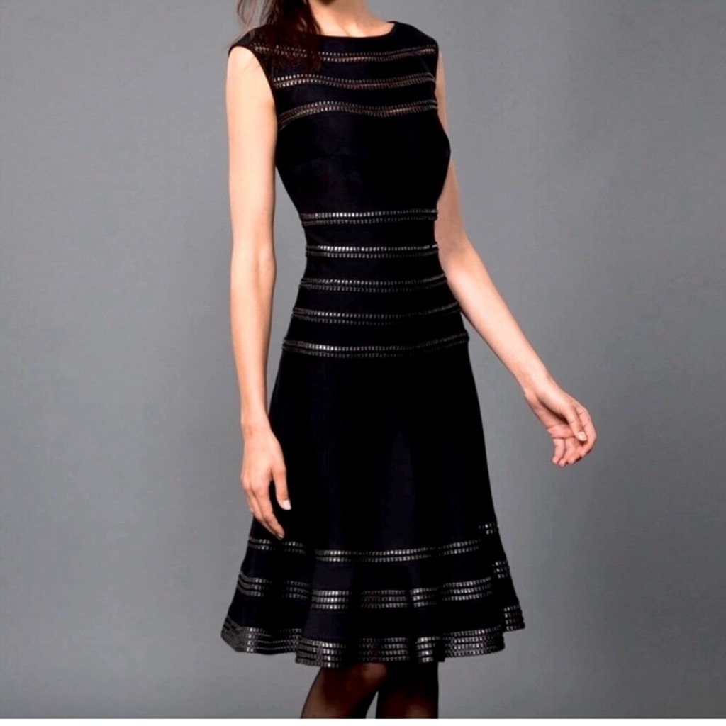 Tadashi Shoji Mesh Stripe Fit And Flare Dress Size Medium
